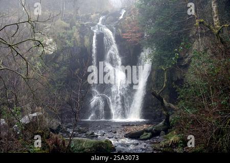 Posforth Gill Force Waterfall nella Valley of Desolation vicino a Bolton Abbey, Wharfedale, Yorkshire Dales National Park, Inghilterra, Regno Unito Foto Stock