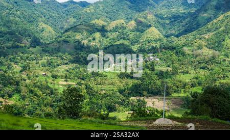 Le verdeggianti piantagioni di riso si estendono attraverso le ondulate montagne di Iloilo, catturando l'essenza pacifica e pittoresca della vita rurale delle Filippine Foto Stock