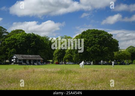 Scenografico campo da cricket rurale (competizioni sportive estive, sport inglese, padiglione, fielding) - Bolton Bridge, Yorkshire Dales, Inghilterra Regno Unito Foto Stock