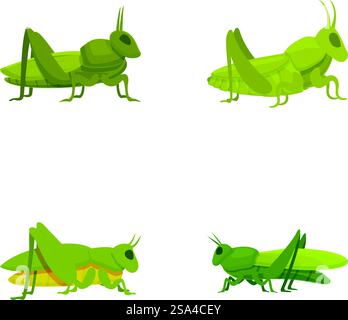 Raccolta di quattro illustrazioni vettoriali di cavallette verdi isolate su sfondo bianco. Set di cavallette per cartoni animati in varie pose Illustrazione Vettoriale