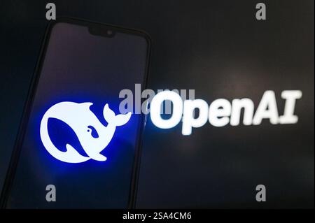 Polonia. 28 gennaio 2025. In questa immagine, il logo Deepseek viene visualizzato su uno smartphone con un logo OpenAI sullo sfondo. (Credit Image: © Omar Marques/SOPA Images via ZUMA Press Wire) SOLO PER USO EDITORIALE! Non per USO commerciale! Foto Stock