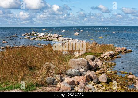 Descrizione: Numerose grandi pietre sparse lungo il bordo dell'acqua, insieme ad erbe brune, e molti uccelli arroccati su rocce in lontananza, u Foto Stock