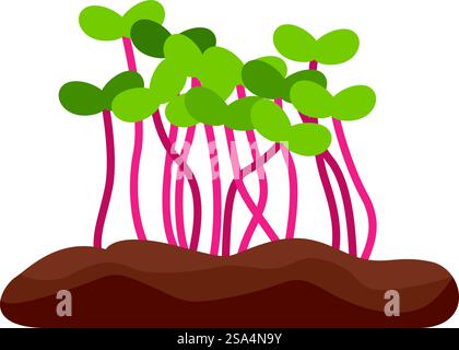 Germogli di ravanello giovani che crescono da terra, microverdi, cibo sano, concetto di dieta vegana. Illustrazione di giovani germogli di ravanello che crescono dal terreno Illustrazione Vettoriale