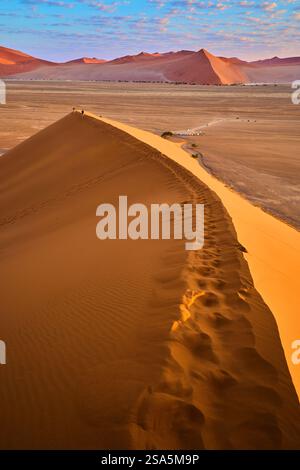 Cresta della Duna 45 con le sue orme sopra alla luce del mattino presto, Sossusvlei, Parco Nazionale, Namibia, Africa Foto Stock