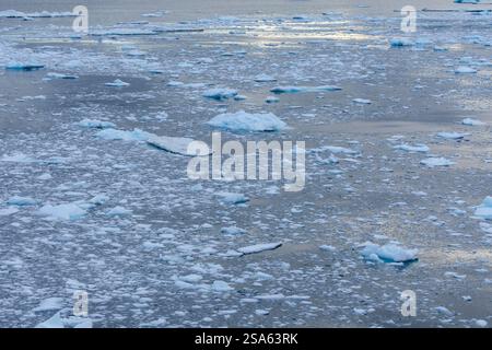 Blocchi di iceberg del ghiacciaio Ilulissat che galleggiano nella baia di Disko in serata. Disko Bay, Baffin Bay, Groenlandia, Danimarca, Nord America Foto Stock