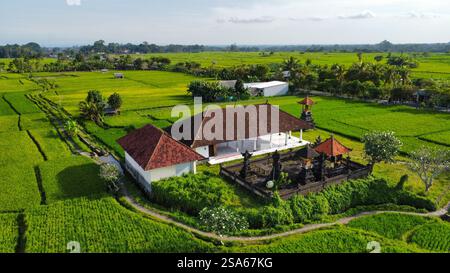 I famosi campi di riso di Bali, Indonesia, visti dall'alto Foto Stock