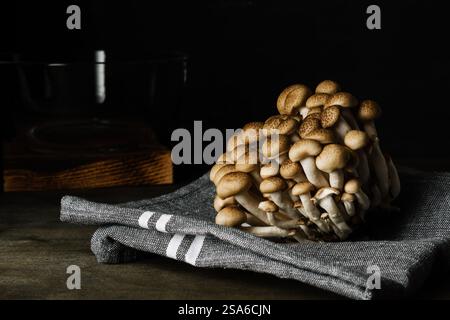 Funghi shimeji marroni freschi su sfondo scuro. Foto Stock