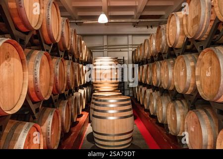Una fila di botti piene di vino. I barili sono impilati uno sopra l'altro. Le botti sono marroni e il vino all'interno è probabilmente invecchiato Foto Stock