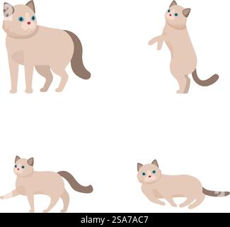 Collezione di affascinanti gatti siamesi illustrati in diverse pose giocose e riposanti. Set di carini cartoni animati di gatti siamesi in varie pose Illustrazione Vettoriale