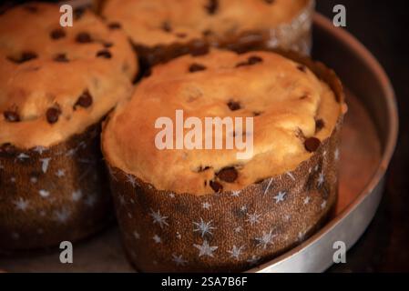 Panettoni fatti in casa prodotti a mano. Foto Stock
