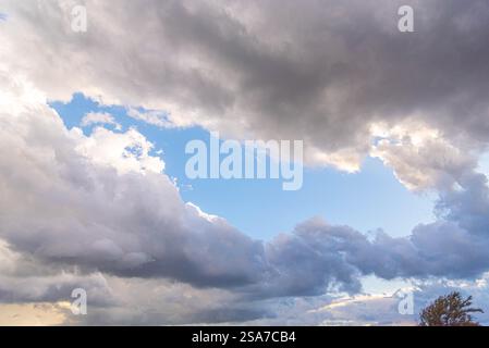 Nuvole di pioggia e nuvole cumulonimbus sul bioma di pampa. Foto Stock