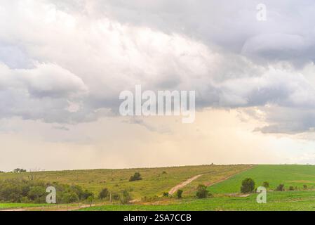 Nuvole di pioggia e nuvole cumulonimbus sul bioma di pampa. Foto Stock
