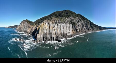 L'oceano Pacifico bagna la costa frastagliata ma incredibilmente panoramica dell'Oregon settentrionale. Questa splendida e selvaggia zona è accessibile dall'autostrada 101. Foto Stock