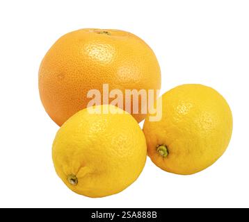 Agrumi isolati su sfondo bianco. Primo piano con limone e pompelmo. Foto Stock