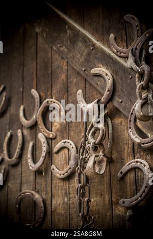 Più ferri di cavallo inchiodati su una vecchia porta di legno Foto Stock