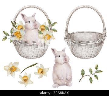 Set di immagini ad acquerello di un simpatico coniglietto seduto in un cestino di vimini pieno di narcisi gialli e foglie verdi, perfetto per le decorazioni a tema primaverile e pasquale. Foto Stock