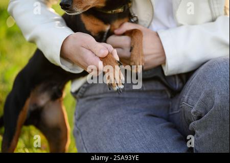 Donna che tiene il cane accanto alle zampe durante la passeggiata fuori, primo piano. Concetto di amicizia, fiducia tra uomo e animale, volontariato, cura dei cani. Foto Stock
