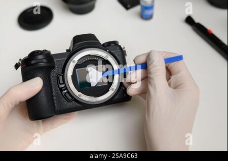 Pulizia con un bastoncino di cotone professionale per pulire la matrice del sensore da polvere e sporcizia. Pulizia e manutenzione del sensore della fotocamera mirrorless. Il concetto di Foto Stock