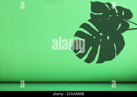 L'ombra di Monstera lascia su uno sfondo verde con spazio di copia. Foto Stock