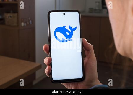 Slovenia, Lubiana - 29 gennaio 2025: Logo DeepSeek visualizzato sullo schermo dello smartphone Foto Stock