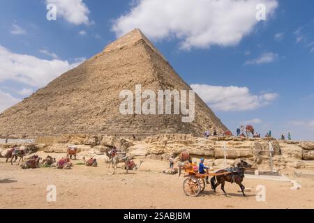 Carrozza trainata da cavalli e cammelli accanto alla Piramide di Khafre sulla spianata di Giza Foto Stock