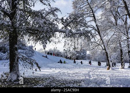 Slittino, camminatore, inverno con neve nella parte meridionale del Giardino inglese, Monaco, Baviera, Germania, Europa Foto Stock