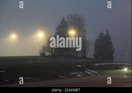 Una scena serale nebbiosa che mostra lampioni luminosi parzialmente oscurati dalla nebbia, con sagome di alberi che creano un contrasto drammatico. La testa di un'auto Foto Stock