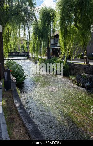 Fiume Shirakawa nel centro di Kyoto in Giappone Foto Stock