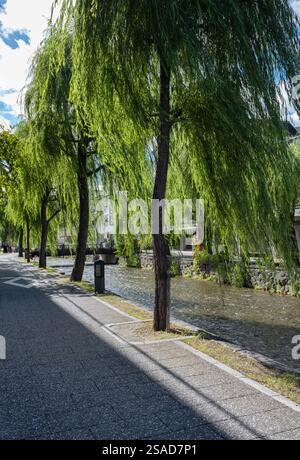 Fiume Shirakawa nel centro di Kyoto in Giappone Foto Stock