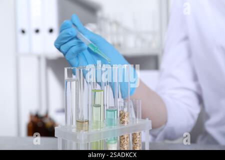 Analisi di laboratorio. Scienziato che gocciola il campione dalla pipetta alla provetta in ambienti chiusi, primo piano Foto Stock