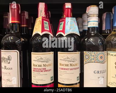 Bobruisk, Bielorussia - 17 gennaio 2025: File di bottiglie di vino colorate attendono gli acquirenti curiosi in un negozio locale. Le etichette mostrano origini diverse e Foto Stock