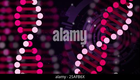 Immagine di filamenti di dna sulla scansione dell'oscilloscopio Foto Stock