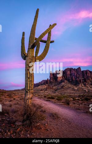 Uno splendido tramonto proietta un caldo bagliore su un cactus saguaro e sulle Superstition Mountains nel Lost Dutchman State Park dell'Arizona. Foto Stock