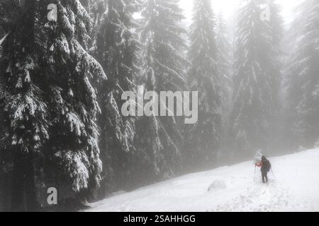 Escursionista avvolto da nebbie in montagna, Val Brembana, Lombardia, Italia Foto Stock