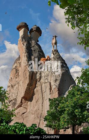 Formazioni rocciose di Fairy Chimney della Love Valley, vicino a Goreme, in estate Foto Stock