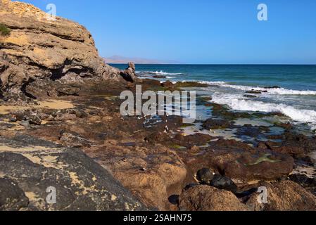 Costa calma ist ein Ort auf der Kanarischen Insel Fuerteventura, spagnolo. Er liegt am Beginn der Halbinsel Jandia, Die den südlichen Teil von Fuerte einnimmt. Angesichts der weitläufigen Strände und des ganzjährig sonnigen Klimas gehört Costa calma zu einem der beliebtesten Ferienorte der Kanaren. Der Ort Hat rund 5500 Einwohner und ist wie Morro Jable und Solana Matorral Teil der Gemeinde Pajara *** Costa calma è una città sull'isola Canaria di Fuerteventura, in Spagna, si trova all'inizio della penisola di Jandia, che occupa la parte meridionale di Fuerteventura grazie alla sua estesa estensione Foto Stock