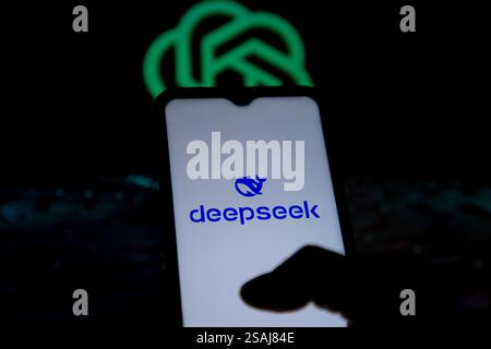 India. 30 gennaio 2025. In questa immagine, il logo DeepSeek viene visualizzato sullo schermo di un telefono cellulare con un logo OpenAI sullo sfondo. (Foto di Faisal Bashir/SOPA Images/Sipa USA) *** esclusivamente a scopo editoriale *** credito: SIPA USA/Alamy Live News Foto Stock