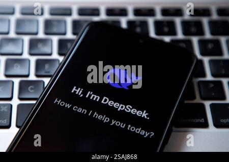 India. 30 gennaio 2025. In questa immagine, l'app DeepSeek viene visualizzata sullo schermo di un telefono cellulare accanto a una tastiera. (Foto di Faisal Bashir/SOPA Images/Sipa USA) *** esclusivamente a scopo editoriale *** credito: SIPA USA/Alamy Live News Foto Stock