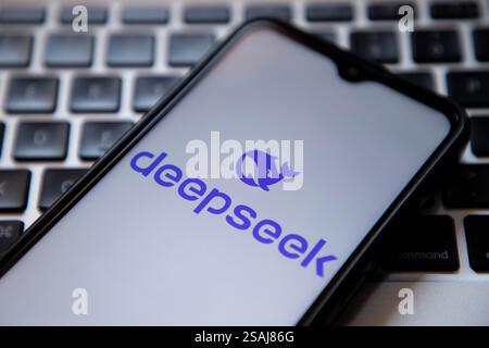 India. 30 gennaio 2025. In questa immagine, il logo DeepSeek viene visualizzato sullo schermo di un telefono cellulare accanto a una tastiera. (Foto di Faisal Bashir/SOPA Images/Sipa USA) *** esclusivamente a scopo editoriale *** credito: SIPA USA/Alamy Live News Foto Stock