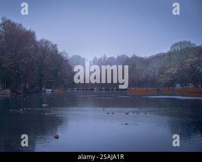 Un lago calmo in inverno con i Wild Ducks e i Wildfowl Foto Stock
