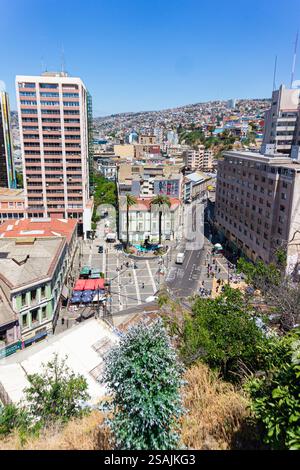 Valparaiso, Cile. 1° dicembre 2023. Piazza Anibal Pinto, Valparaiso, vista panoramica sugli uccelli del Cile. Foto Stock