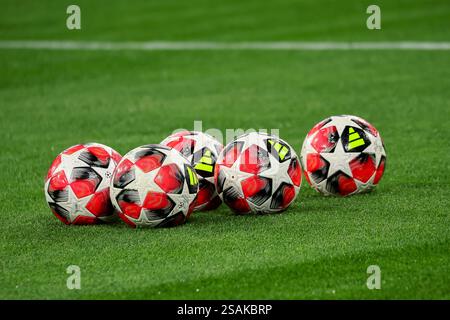 Fussbaelle mit dem Logo der UEFA Champions League liegen auf dem Rasen in der Allianz Arena, GER, FC Bayern Muenchen vs. SK Slovan Bratislava, Fussball, UEFA Champions League, 8. Spieltag, Spielzeit 2024/2025, 29.01.2025, foto: Eibner-Pressefoto/Jenni Maul Foto Stock