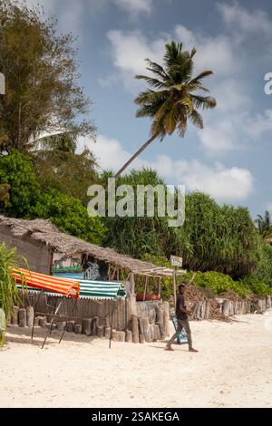 Africa Tanzania, Zanzibar, costa orientale, Matemwe, spiaggia, attività turistiche sotto le palme Foto Stock