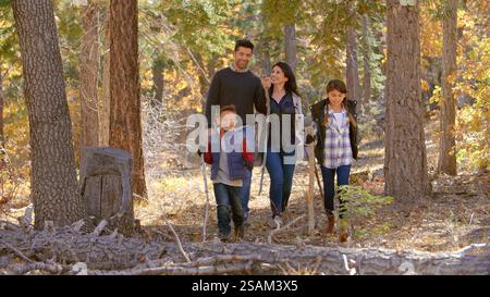 Attività all'aperto per famiglie che amano passeggiare insieme in autunno o in autunno nella foresta Foto Stock