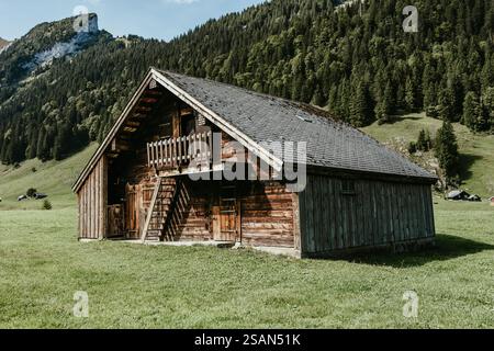 Le Alpi svizzere, una catena montuosa mozzafiato nel cuore dell'Europa. Foto Stock