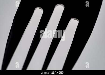 Vista ravvicinata dei rebbi di una forca. L'immagine evidenzia le forme e le trame contrastanti dei denti, mostrando il design della forcella Foto Stock