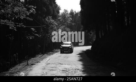 Un'auto solitaria si snoda attraverso una strada collinare alberata, catturata in bianco e nero senza tempo. Un viaggio di solitudine, nostalgia e infinite possibilità. Foto Stock