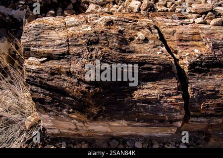 Un grande pezzo di legno con una crepa dentro. La crepa è lunga e profonda. Il legno è di colore marrone Foto Stock