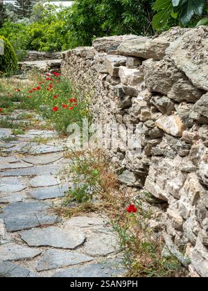 Sentiero di Sifnos, lussureggiante di papaveri rossi: Un tipico sentiero lastricato in pietra a Sifnos che taglia attraverso un rigoglioso boschetto con i papaveri selvatici e altri fiori gialli che iniziano ad invadere. Foto Stock