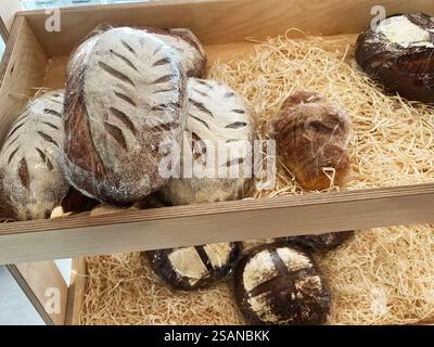 Una selezione di pane artigianale appena fatto, tra cui panini e panini rustici, esposti con cura in un cestino di legno. Perfetto per la pubblicità di prodotti da forno Foto Stock